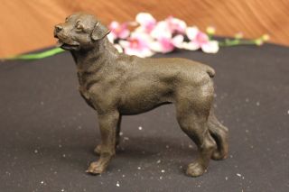 Signierte Barye Junger Rottweiler Hunde Bronze Skulptur Tier Statue Figur Welpe Bild