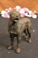 Signierte Barye Junger Rottweiler Hunde Bronze Skulptur Tier Statue Figur Welpe Ab 2000 Bild 5