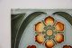 Paar Jugendstil Fliese Kachel,  Art Nouveau Tile,  Tegel Offstein,  Blumen Ornament Nach Form & Funktion Bild 2
