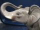 Wunderschöner Elefant,  Graues Porzellan Glasiert, Nach Form & Funktion Bild 3