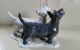 Rosenthal - 2 Scottish Terriers - Heidenreich Mit Signatur - Hunde Figuren Bild 2