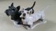 Rosenthal - 2 Scottish Terriers - Heidenreich Mit Signatur - Hunde Figuren Bild 5