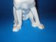 Ens Volkstedt Porzellan Figur Porzellanfigur Setter Pointer Hund Handgemalt Nach Marke & Herkunft Bild 5
