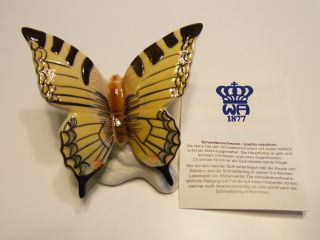 Porzellanfigur Schmetterling Bild