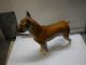 Boxer - Hund,  Goebel,  22 X 19 Cm Nr.  30 617 18 Nach Marke & Herkunft Bild 1