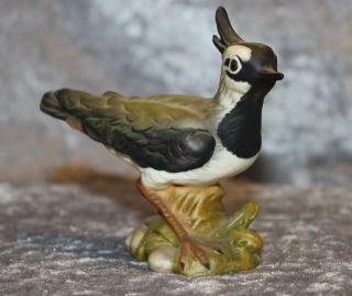 Goebel Porzellan - Vogel Des Jahres 1996 Kiebitz - Modell Nr.  299 - Matt - Bild