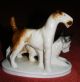 Zwei Allerliebste Terrier Hunde,  Porzellanfigur Gruppe GrÄfenthal Um 1960 Figuren Bild 1