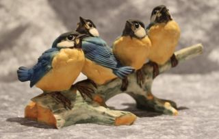 V.  Binoli - Vögel Blaumeisen Meisen Auf Ast - Selten Bild