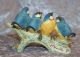 V.  Binoli - Vögel Blaumeisen Meisen Auf Ast - Selten Figuren Bild 1