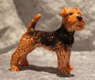 Goebel Porzellan - Hund Aieredale Welsh Terrier Braun - Modell Nr.  30 503 12 Bild