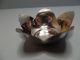 9 Stück Blumenförmige Teelicht - Untersetzer Von Webster,  925 - Sterling Silber Objekte nach 1945 Bild 1