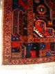 SchÖner HandgeknÜpfter Orient Teppich - Perfekt - Persian Koliaye - Perfect Teppiche & Flachgewebe Bild 9