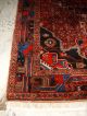 SchÖner HandgeknÜpfter Orient Teppich - Perfekt - Persian Koliaye - Perfect Teppiche & Flachgewebe Bild 6