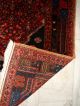 SchÖner HandgeknÜpfter Orient Teppich - Perfekt - Persian Koliaye - Perfect Teppiche & Flachgewebe Bild 8