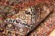 Königlicher Biedjar Herati Kaschmir Orient Teppich Rug 340x250 Teppiche & Flachgewebe Bild 7