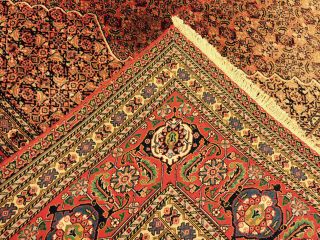 Bedjar Teppich Handgeknüpft 350x270cm Bild