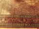 Bedjar Teppich Handgeknüpft 350x270cm Teppiche & Flachgewebe Bild 3