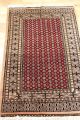 2 Stk.  Alte Afghan/paksitan Buchara Orient Teppich Old Rug Carpet 205x128cm Teppiche & Flachgewebe Bild 4
