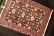 60 Jahre Antiker Senneh / Biedjar - Top - Kazak Teppich Old Rug Carpet 150x113cm Teppiche & Flachgewebe Bild 4
