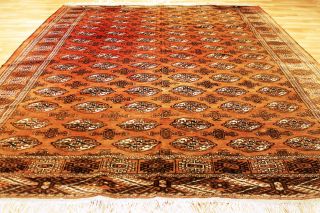 Alter Turkman Afghan 317x229cm Orient Teppich Carpet Tappeto Tapis Afghan 3613 Bild