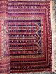Echte Handgeküpfte - Afghanteppich Top / Ware - Tappeto - Tapis,  Rug Teppiche & Flachgewebe Bild 7