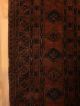 Orientteppich,  Teppich Alt,  Rug,  Afghan 295x235 S.  Antik Teppiche & Flachgewebe Bild 3