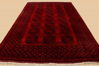 Afghanischer Teppich Ca.  (350 X 246) Cm Gereinigt Bild