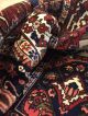 Orientteppich,  Pers.  Teppich,  Rug,  Bachtijarr 302x203 Korkwolle Top Teppiche & Flachgewebe Bild 6