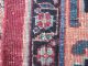 Antiker Teppich (durokhsch) 560 X 340 Cm. Teppiche & Flachgewebe Bild 11