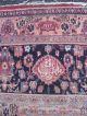 Antiker Teppich (durokhsch) 560 X 340 Cm. Teppiche & Flachgewebe Bild 1
