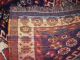 Antiker Kasak Lori Ghashghaie Um 1900 Teppiche & Flachgewebe Bild 10