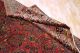 100 Jahre Antiker Amerikanischer Saruqh Reimport Orient Teppich Rug Carpet Kazak Teppiche & Flachgewebe Bild 5