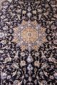 Königlicher 9la Habibian Nain M Seide Tiermotive Bilder Orient Teppich 300x200cm Teppiche & Flachgewebe Bild 2