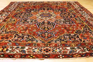 Alter Gartenparadies Bachtiar 330x262cm Orient Teppich Tappeto Carpet 3556 Bild