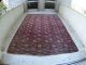 Antikerturkmenische Teke Teppich19jh Maße - 307 X217cm Teppiche & Flachgewebe Bild 1