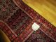 Echte Handgeknüpfte Antiker Karabag - Kazakteppich.  Top Tappeto - Tapies - Rug,  Antiqe Teppiche & Flachgewebe Bild 5