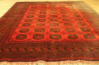 Alter Afghan Buchara 350x265cm Orient Teppich Carpet Tappeto Tapis Afghan 3558 Bild