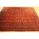 Alter Afghan Buchara 240x190cm Orient Teppich Carpet Tappeto Tapis Afghan 3567 Teppiche & Flachgewebe Bild 2