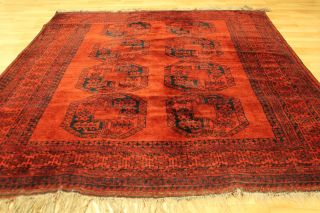 Alter Afghan Buchara 230x195cm Orient Teppich Carpet Tappeto Tapis Afghan 3557 Bild