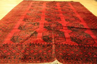 Alter Afghan Buchara 333x241cm Orient Teppich Carpet Tappeto Tapis Afghan 3547 Bild