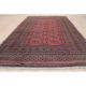 Schöner Handgeknüpfter Orientteppich Buchara Jomut Yomut 130x200cm Rug 100 Teppiche & Flachgewebe Bild 1