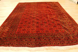 Alter Afghan Buchara 275x200cm Orient Teppich Carpet Tappeto Tapis Afghan 3420 Bild