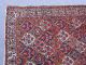 Antiker Perserteppich Bakhtiyari / Bachtiyari 304x209cm Carpet,  Tappeto,  Tapis - 85 Teppiche & Flachgewebe Bild 2