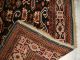 Old Rug Caucasian - Akstafa - Shirvan - Kuba Perepedil - Alter Kaukase Perfect Teppiche & Flachgewebe Bild 6