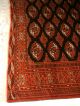 Antiker Turkmenen Teppich - Bochara - Antique Turkman - Antico Tappeto - Russian Teppiche & Flachgewebe Bild 5