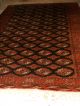 Antiker Turkmenen Teppich - Bochara - Antique Turkman - Antico Tappeto - Russian Teppiche & Flachgewebe Bild 6