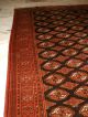Antiker Turkmenen Teppich - Bochara - Antique Turkman - Antico Tappeto - Russian Teppiche & Flachgewebe Bild 8