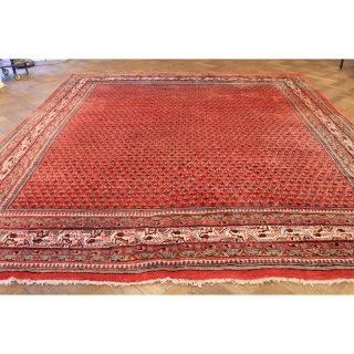 Prachtvoller Orginaler Handgeknüpfter Perser Blumen Teppich Saruq Mir Carpet Top Bild