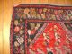 Antiker Signierter Armenischer Vogelteppich,  166 X 126 Teppiche & Flachgewebe Bild 3
