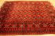 Alter Afghan Buchara 200x150cm Orient Teppich Carpet Tappeto Tapis Afghan 3364 Teppiche & Flachgewebe Bild 2